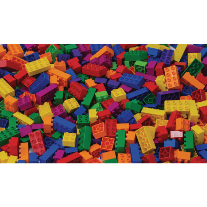 BiOBUDDi Education Big bouwblokken 500 stuks