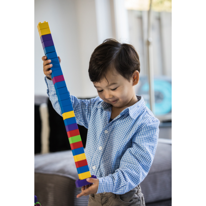 BiOBUDDi Education Big bouwblokken 500 stuks