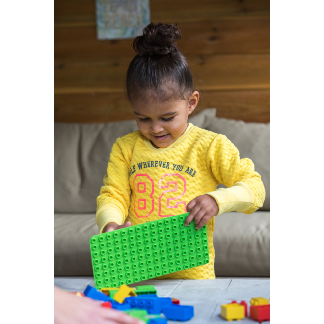 BiOBUDDi Education Big bouwblokken 500 stuks