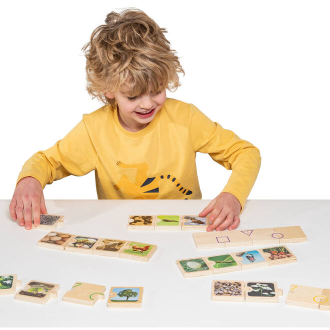Puzzel levenscycli
