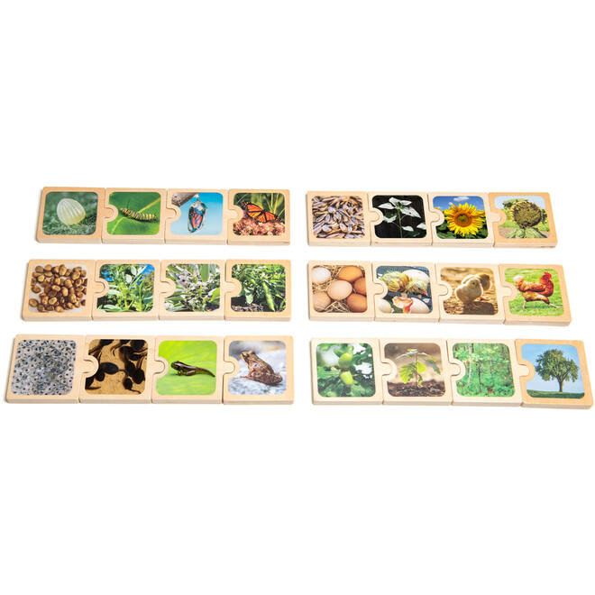 Puzzel levenscycli