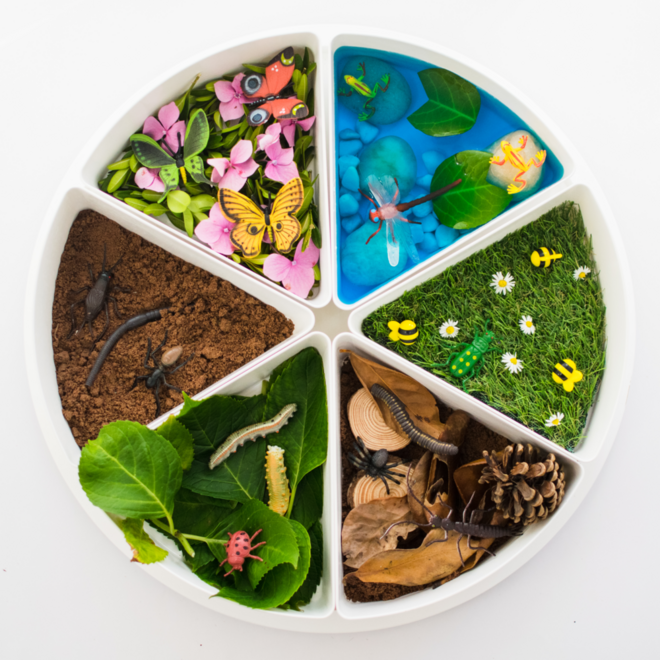 PlayTRAY