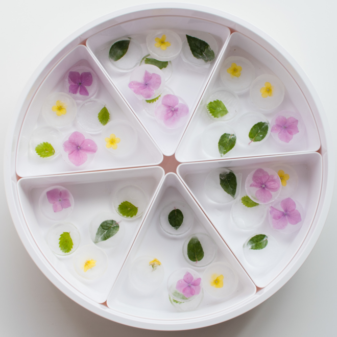PlayTRAY