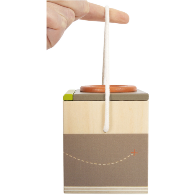 Houten Insectendoos Discover
