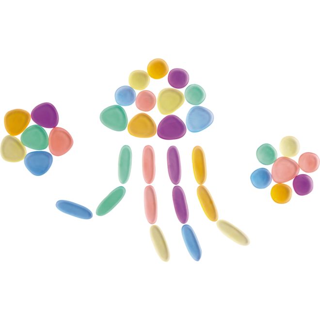 Kiezelstenen Junior in transparante regenboogkleuren
