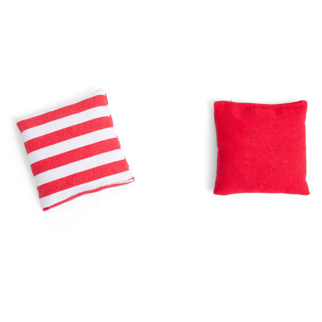 BS | Cornhole Set