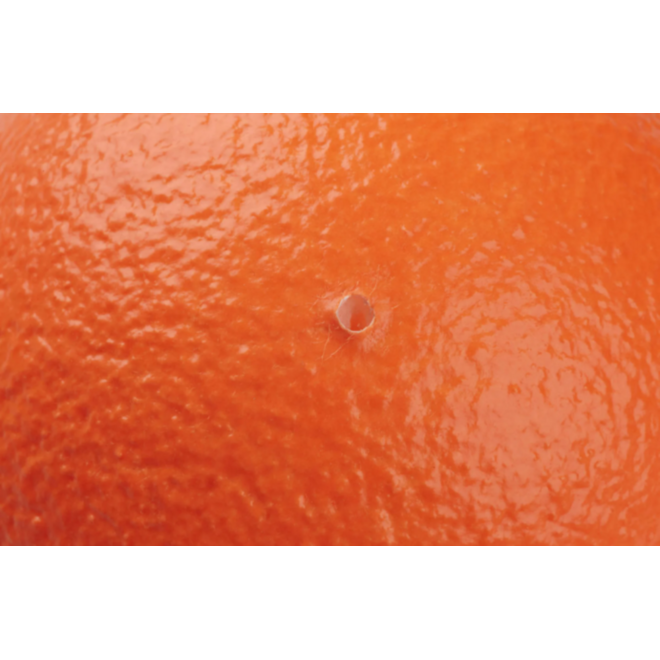Bal | DRAGONSKIN Soft, Ø 12 cm, 45 g, neon oranje