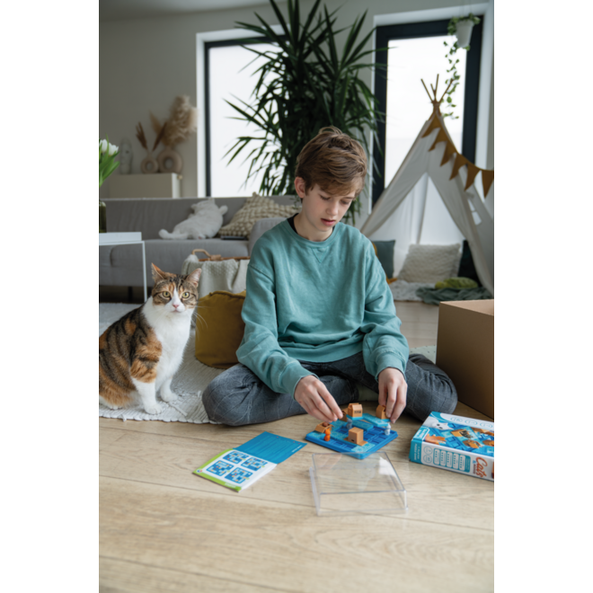 Cat & boxes