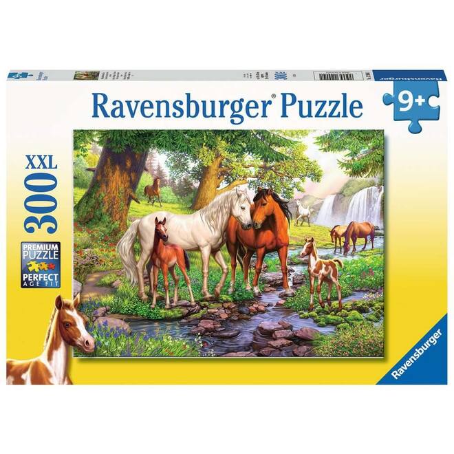 Wilde paarden bij de rivier, 300 stukjes