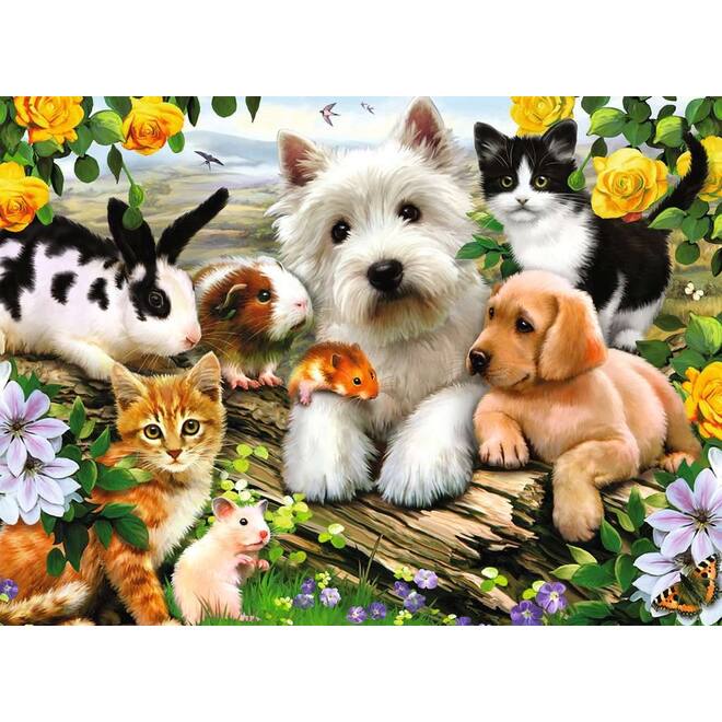 Dierenvriendjes, 300 stukjes