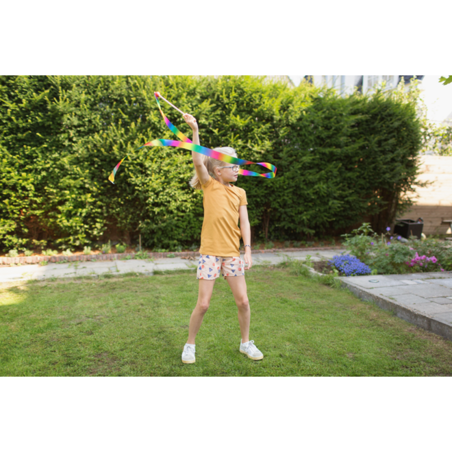 BS | Danslint regenboog 3 meter, houten stok
