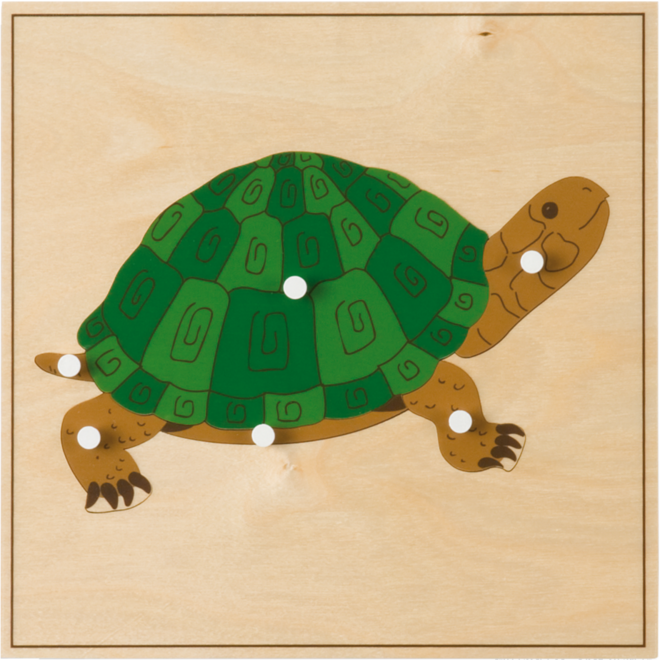 Dierenpuzzel schildpad