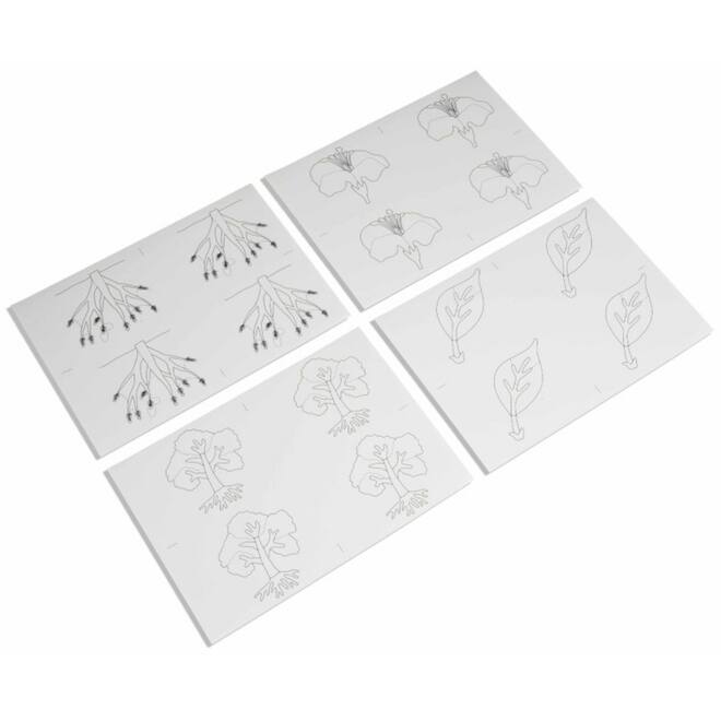 Kopieerkaarten voor botanische puzzels