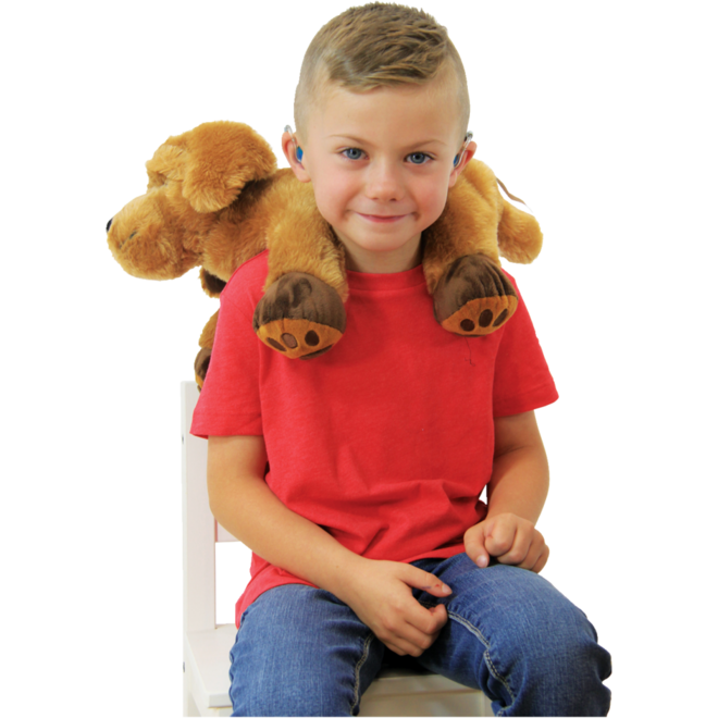 Theo the Therapy Dog, 1 pluche hond