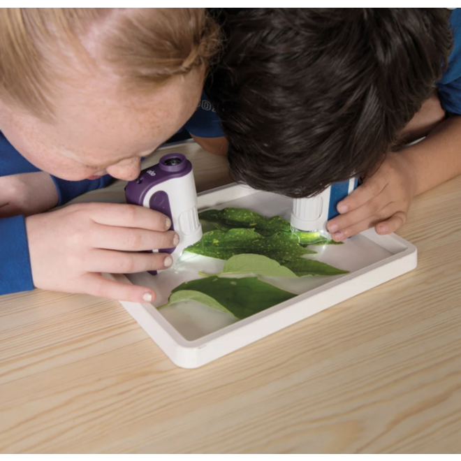 Microscopen voor in de hand, 6 stuks