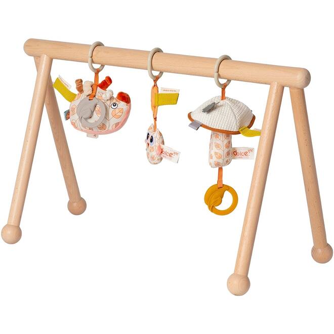 Babygym Earth