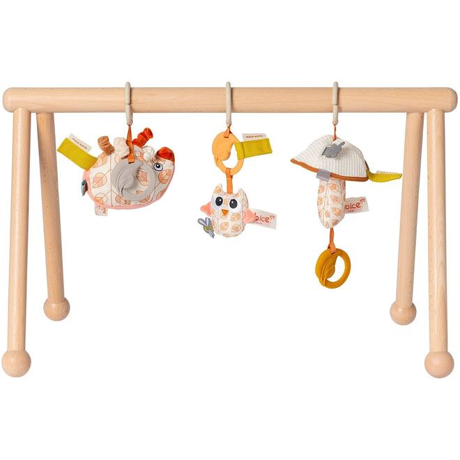 Babygym Earth