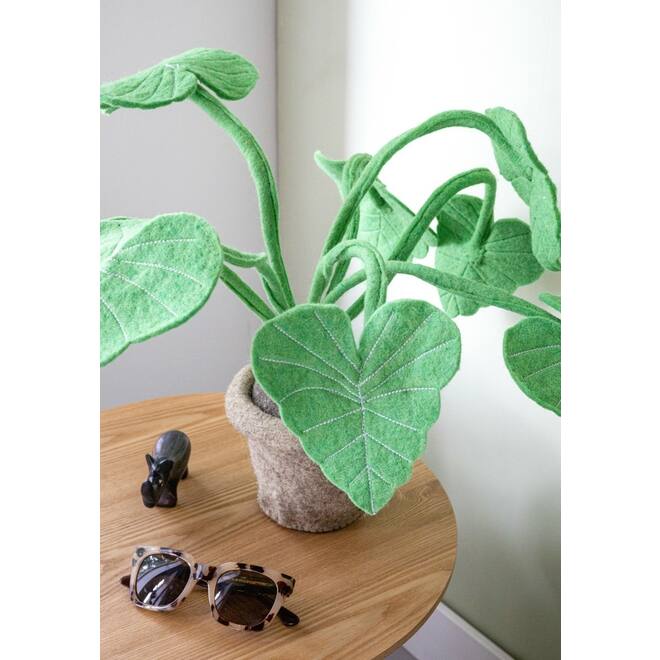 Plant van vilt, Alocasia