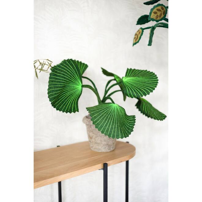 Plant van vilt, Pebbe