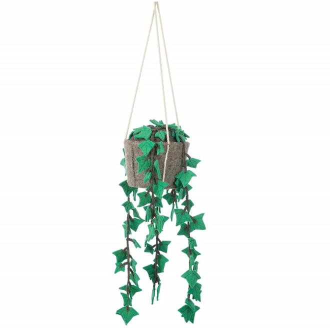 Plant van vilt, Felix