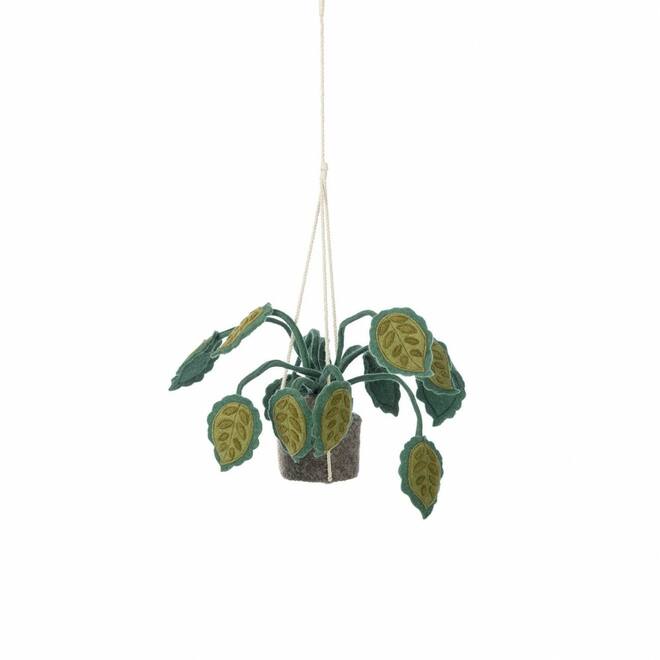Plant van vilt, Big leaves
