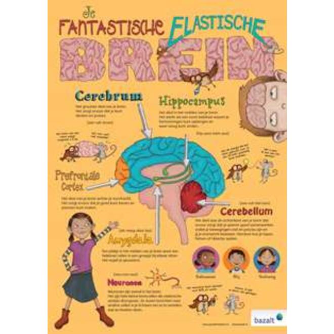 Poster Je Fantastische Elastische Brein