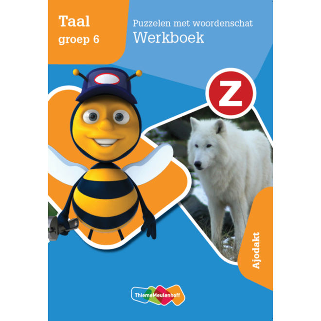 Z-Taal groep 6 - Puzzelen met woordenschat Werkboek - Ajodakt