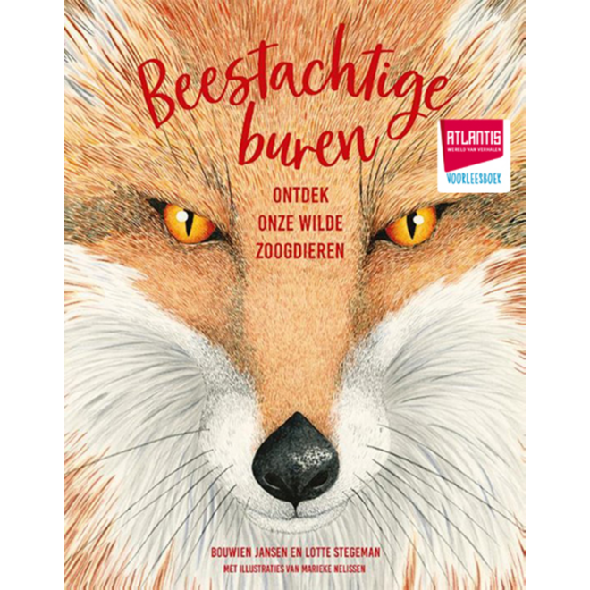 Atlantis voorleesboekenpakket groep 5