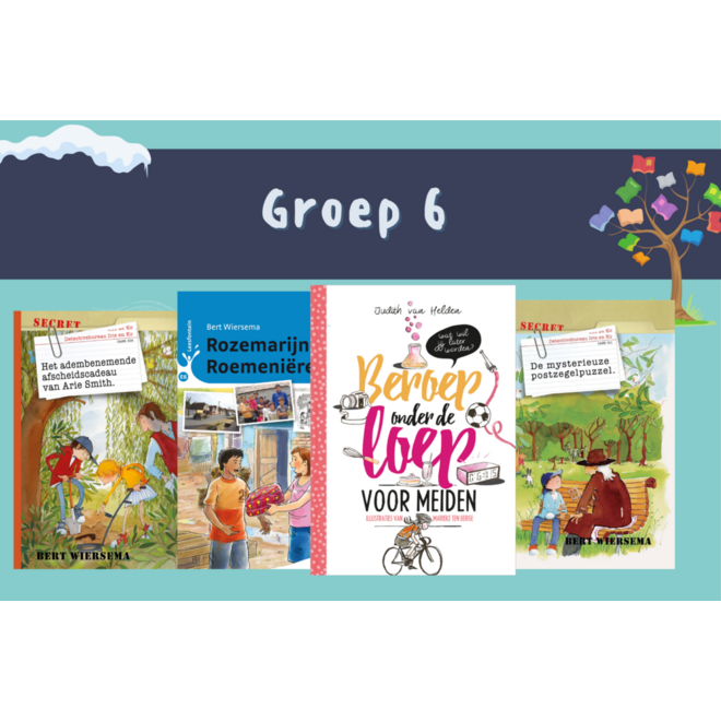 Winterleespakket M6/E6 gr 6: 4 boeken