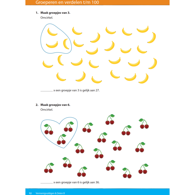 Kerndoeltrainer Vermenigvuldigen & Delen B (5 stuks)