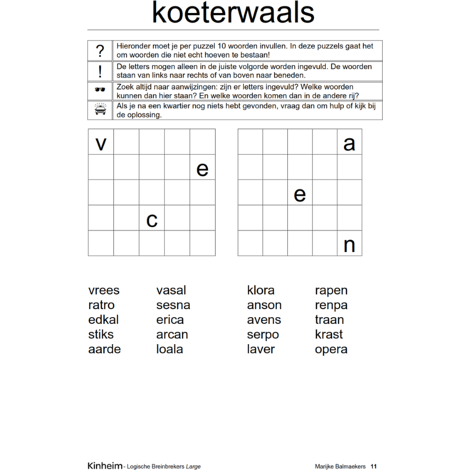 Logische breinbrekers large (5 stuks)