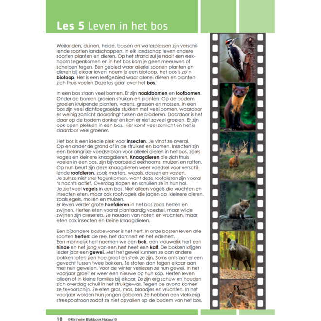 Blokboek natuur groep 6 (5 stuks)