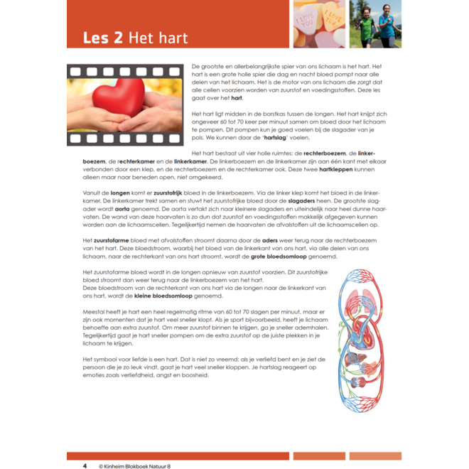 Blokboek natuur groep 8 (5 stuks)