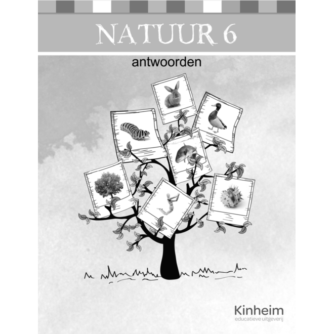Blokboek natuur groep 6 antwoorden