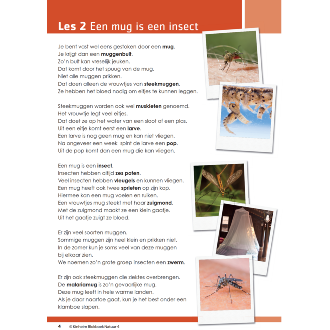 Blokboek natuur groep 4