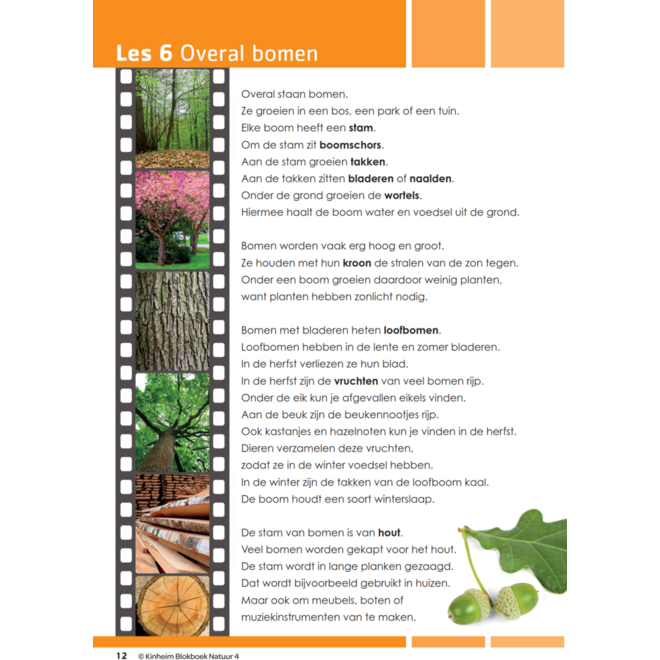Blokboek natuur groep 4