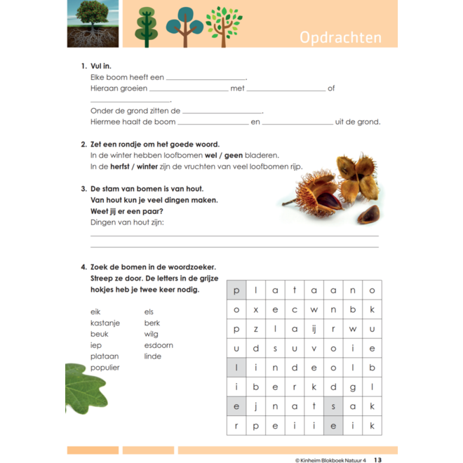 Blokboek natuur groep 4
