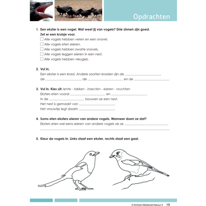 Blokboek natuur groep 4