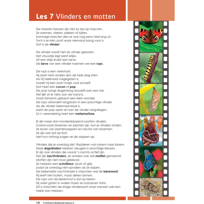 Blokboek natuur groep 5 (5 stuks)