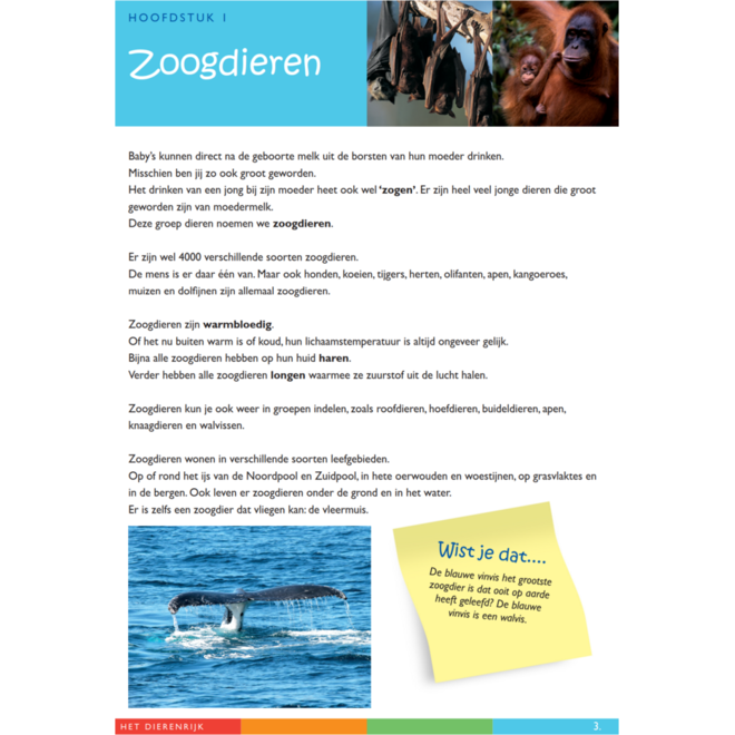 Dierenrijk werkgids