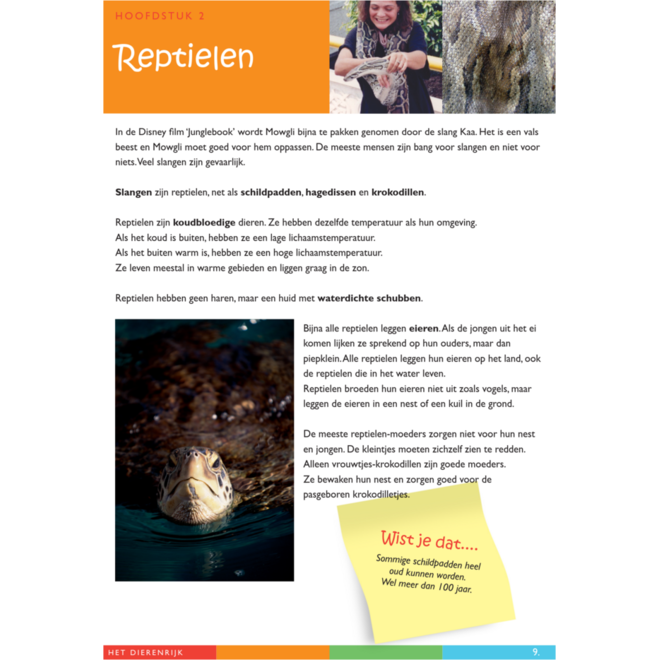 Dierenrijk werkgids