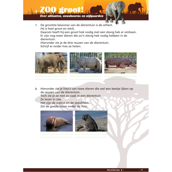 Zo in de Zoo werkgids