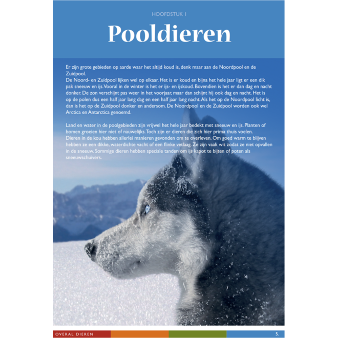 Overal dieren werkgids (5 stuks)