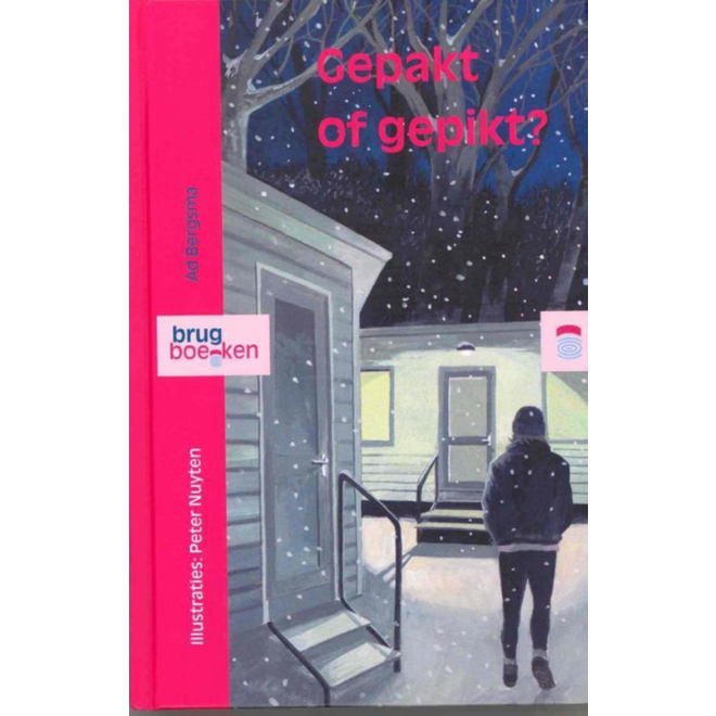 Gepakt of gepikt?- avi M7 (Brugboek)