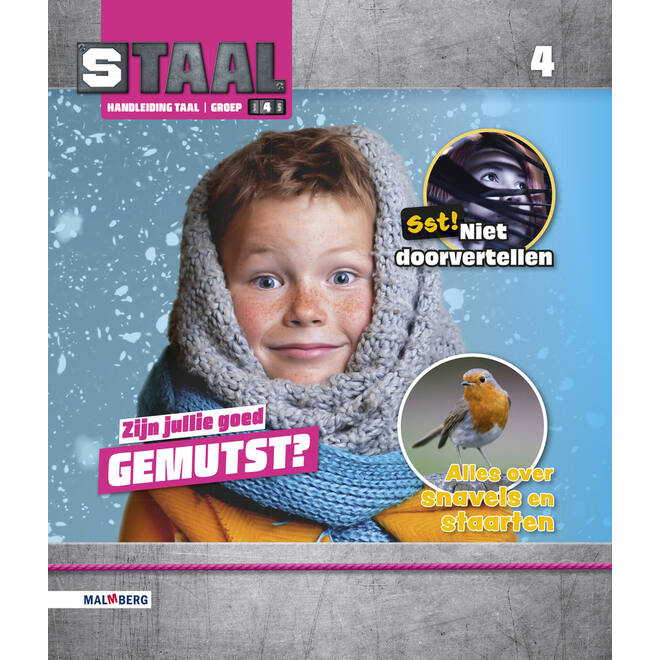 Staal 2 Taal groep 4 handleiding