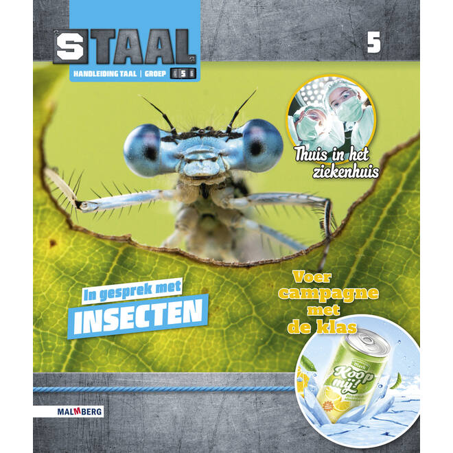 Staal 2 Taal groep 5 handleiding
