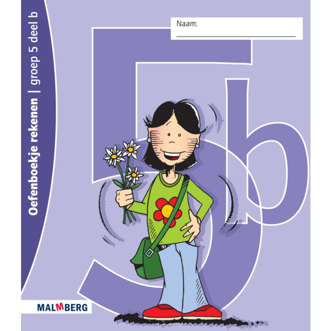 Oefenboekje rekenen B groep 5 (5 stuks)