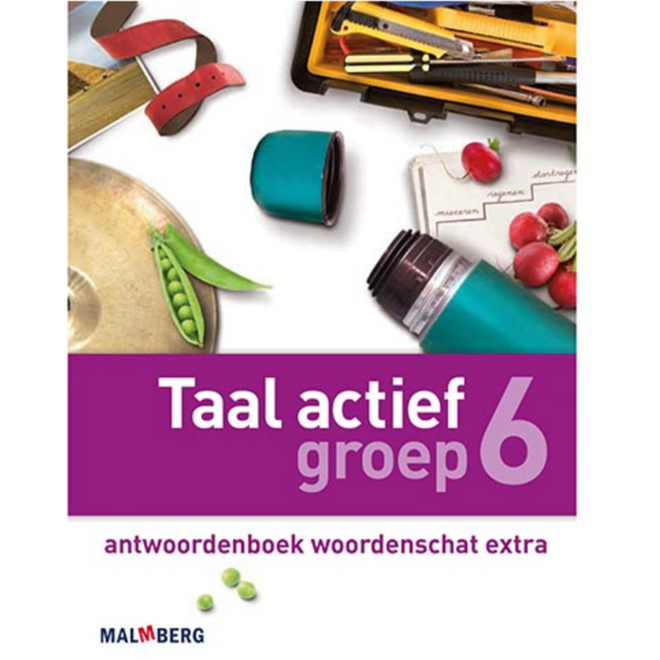 Taal actief 4 groep 6 - antwoordenboek woordenschat extra
