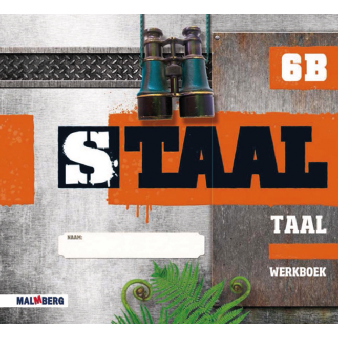 Staal taal groep 6 werkboek B