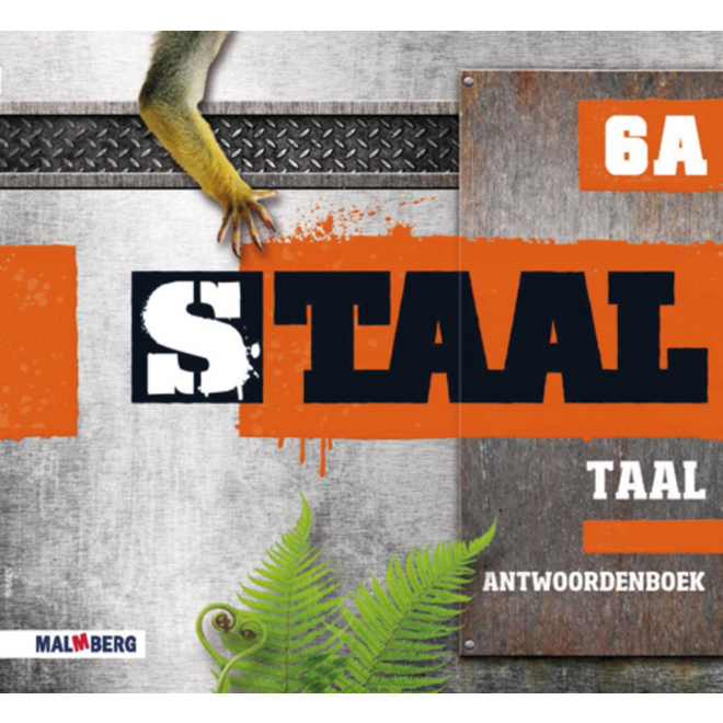 Staal taal groep 6 antwoordenboek